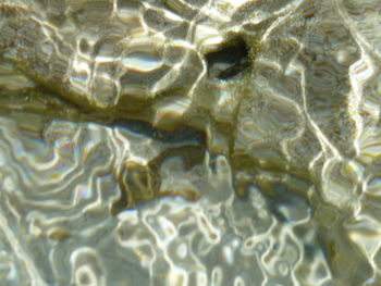 Full frame shot of water