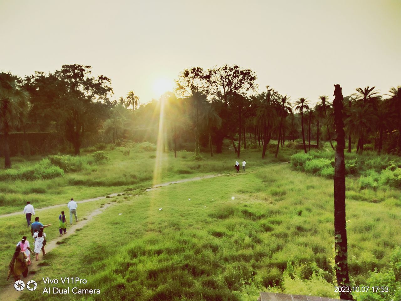 plant, morning, nature, grass, sunlight, tree, sky, rural area, landscape, sports, land, environment, meadow, field, activity, group of people, adult, green, leisure activity, men, outdoors, beauty in nature, day, lifestyles, agriculture, hill, rural scene, women