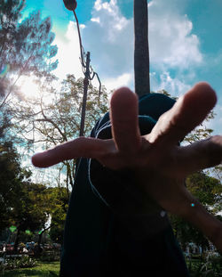 Low angle view of hand on tree against sky