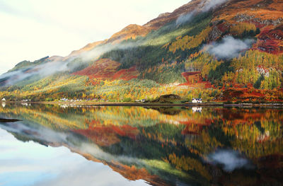 Reflection of trees in lake during autumn