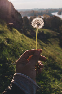 Close-up of hand holding dandelion on field against sky