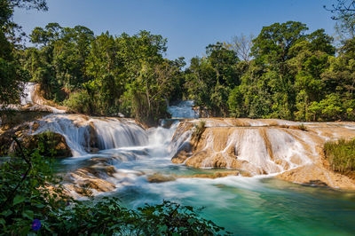 Scenic view of waterfall in forest