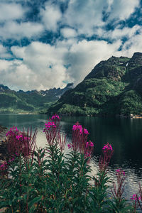 Scenic view of lake against cloudy sky