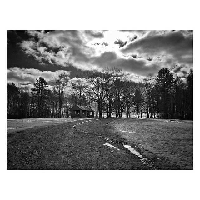 transfer print, tree, sky, auto post production filter, cloud - sky, tranquility, tranquil scene, the way forward, cloudy, road, cloud, landscape, scenics, nature, diminishing perspective, transportation, beauty in nature, field, outdoors, empty