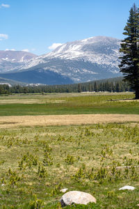 Scenic view of landscape against sky