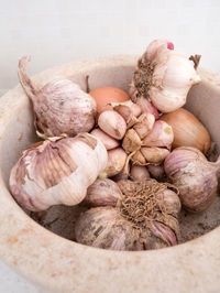 Close-up of rotten onions in garbage bin