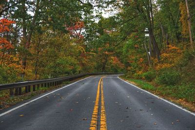 Empty road amidst trees during autumn