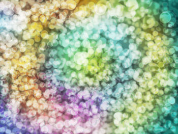 Full frame shot of multi colored plants