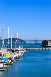 Sailboats moored in harbor against clear blue sky