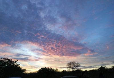 Low angle view of silhouette trees against dramatic sky