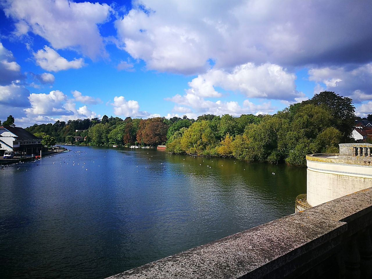 RIVER AMIDST TREES AGAINST CLOUDY SKY