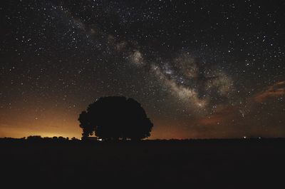 Low angle view of star field against star field