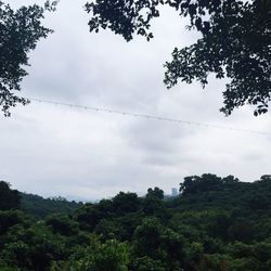 Low angle view of trees against cloudy sky