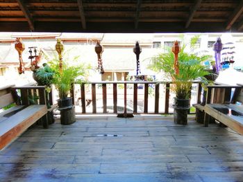 Potted plants in front of building