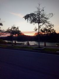 Silhouette trees on field by road against sky during sunset