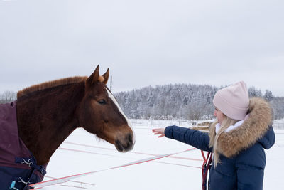  young woman in warm down jacket and pink hat stretches out her hand to  horse, which makes contact