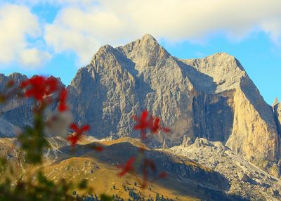 Close-up of mountain against sky