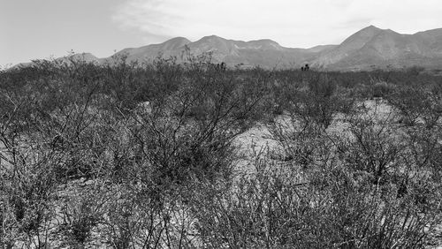 Scenic view of land against sky