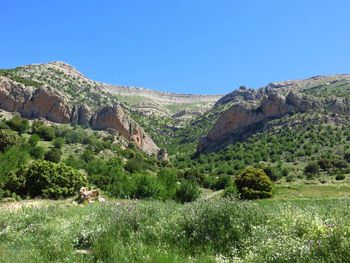 Scenic view of mountains against clear blue sky