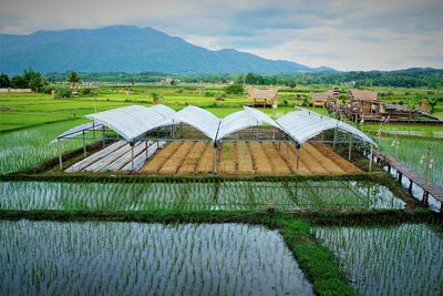 Scenic view of farm against sky