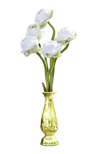 Close-up of flower vase against white background
