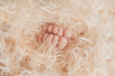 Close-up of baby feet wrapped in blanket