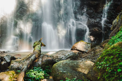 Scenic view of waterfall in forest