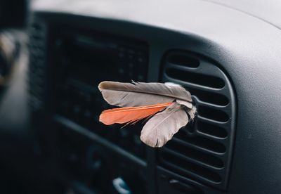 Close-up of orange feather on car window