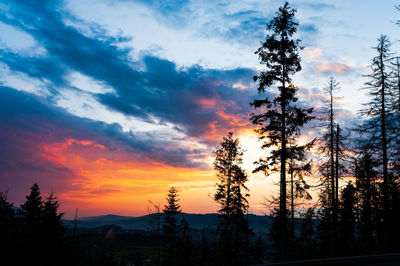 Silhouette trees against sky during sunset