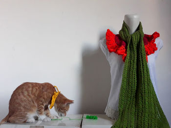 An orange cat playing with yarn in front of mannequin