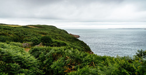 Scenic view of sea against sky