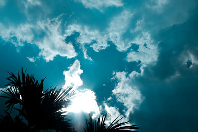Low angle view of silhouette palm trees against blue sky
