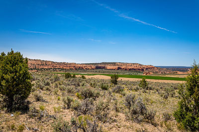 Scenic view of field against blue sky