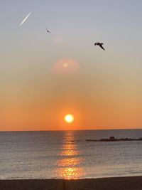 Bird flying over sea against sky during sunset