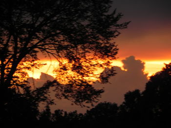 Silhouette trees against sky during sunset