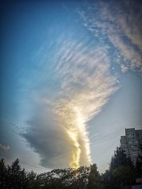 Low angle view of trees against sky