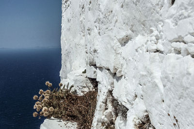 Close-up of snow on rock by sea against sky