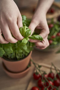 Midsection of man holding plant