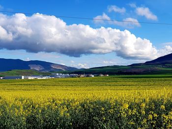 Scenic view of field against cloudy sky