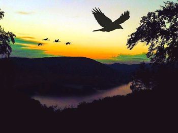 Silhouette birds flying over landscape against sky during sunset