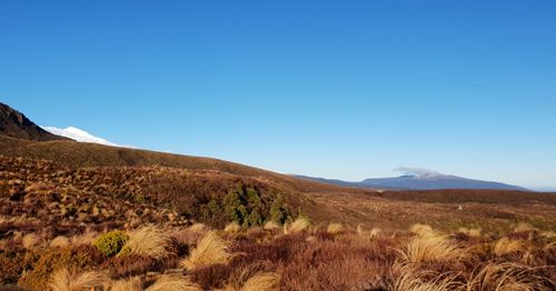 Scenic view of mountains against clear blue sky