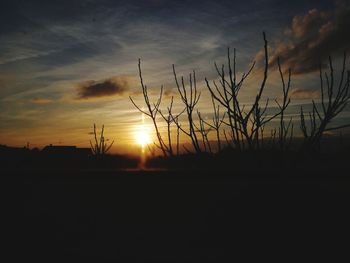 Silhouette plants on field against sky during sunset