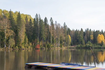 Scenic view of lake by trees in forest against sky