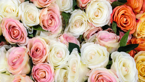 Full frame shot of roses for sale at market
