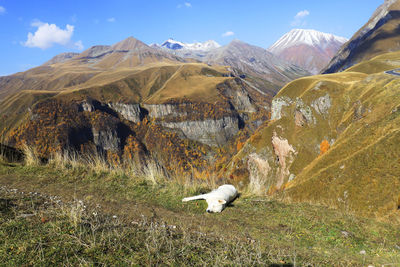 Mount kazbek in the greater caucasus, georgia, asia