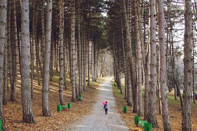 Girl walking on footpath amidst trees in forest