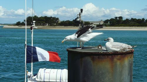 Seagull perching on wooden post by sea against sky