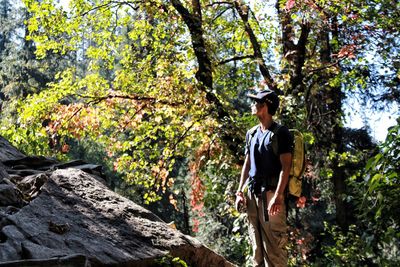 Man standing by tree in forest