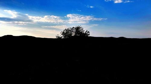 Silhouette trees on landscape against blue sky