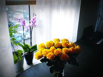 Flowers in plate at home